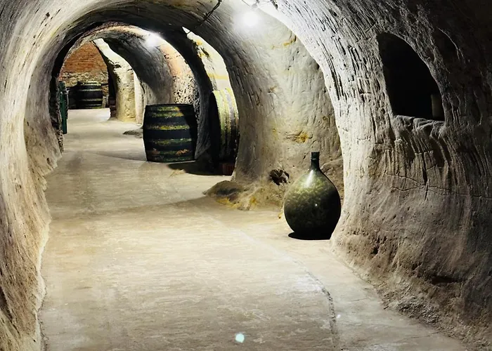 Maison d'hôtes Vinarstvi Poppovi *