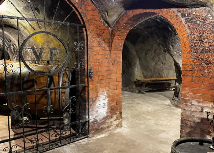 Maison d'hôtes Vinarstvi Poppovi Šatov